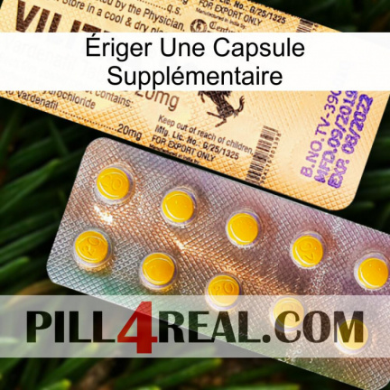 Ériger Une Capsule Supplémentaire new06